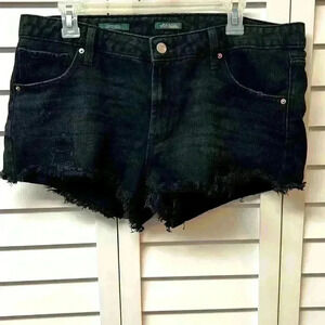 Wild Fable Jean Shorts - Size 12